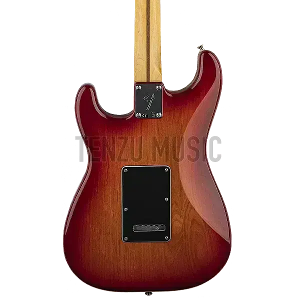 [object Object] fender player series hss stratocaster plus top