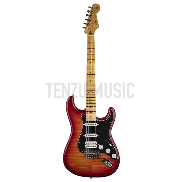 [object Object] fender player series hss stratocaster plus top
