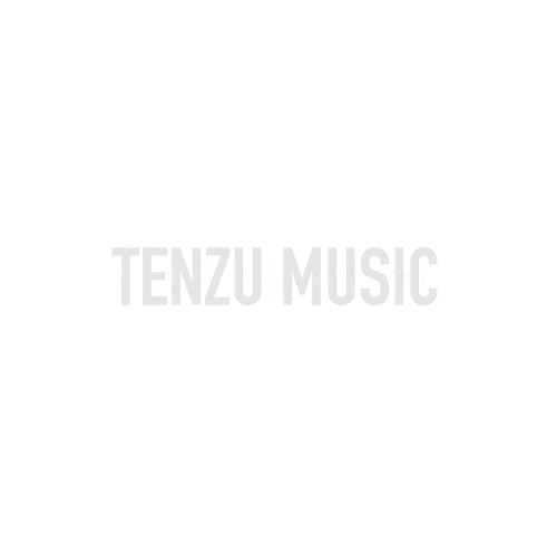 SE-Electronics